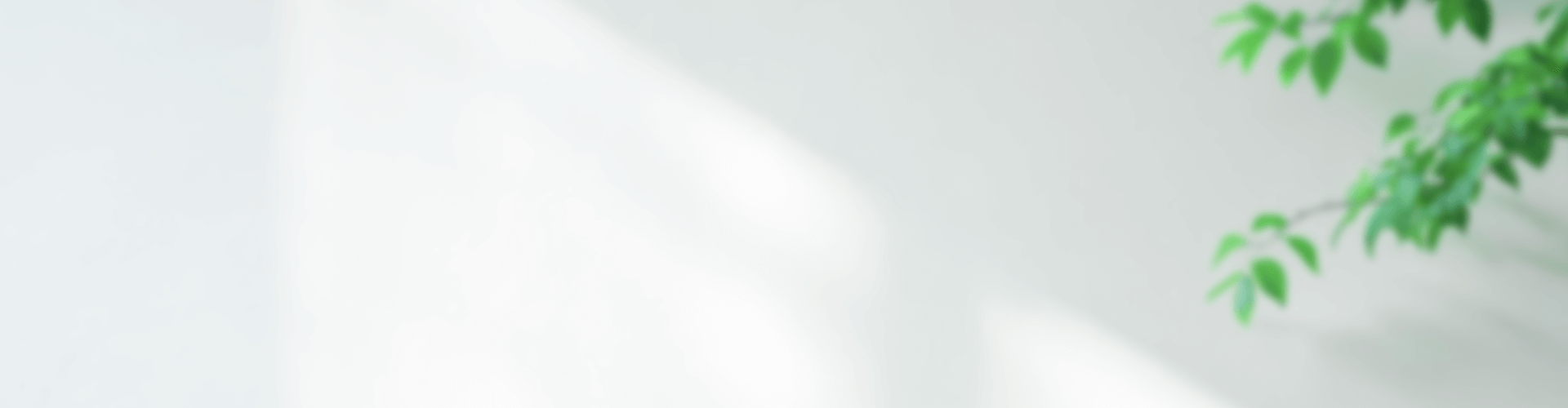 利用規約・免責事項