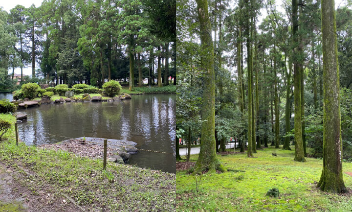 都農神社の周りの風景