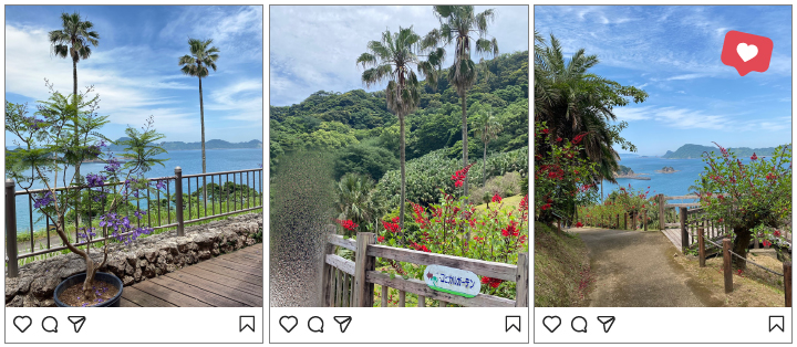 宮崎県の穴場スポット道の駅なんごうの景色